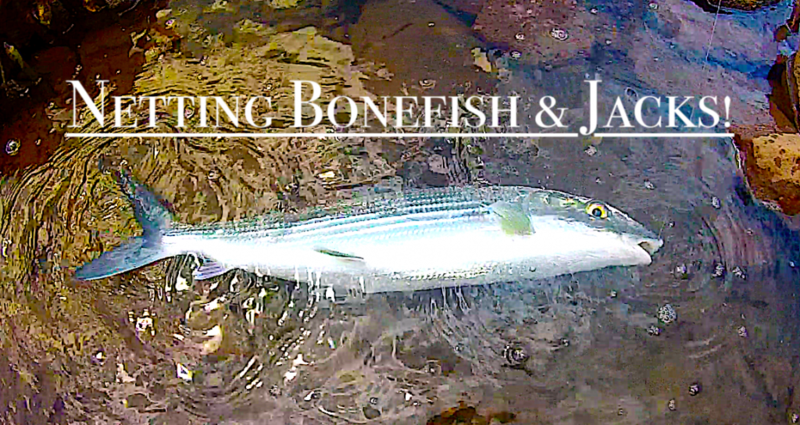 Netting Bonefish & Jacks-Cover.png
